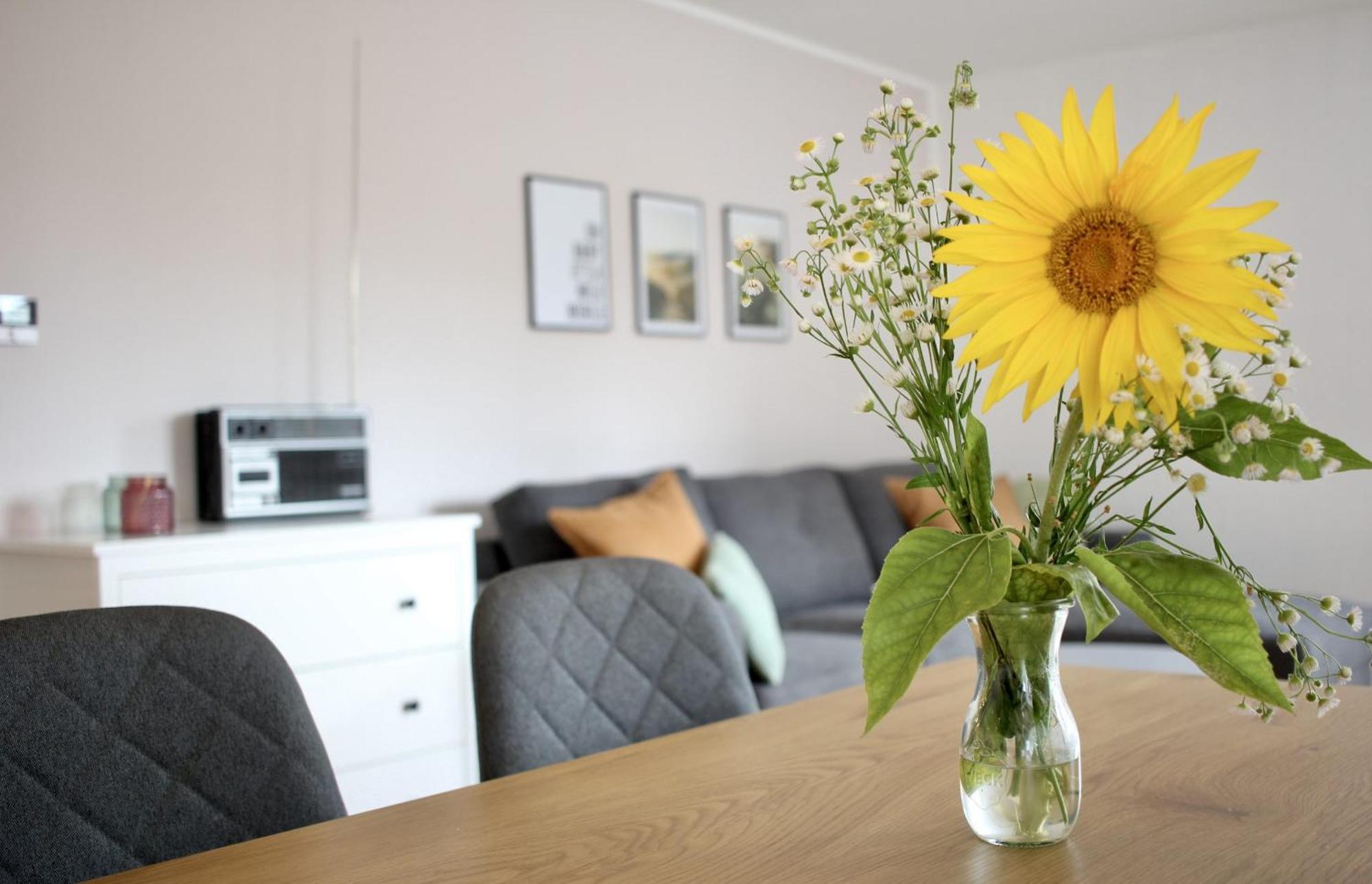Ferienwohnung Morgensonne Кенцинген Экстерьер фото